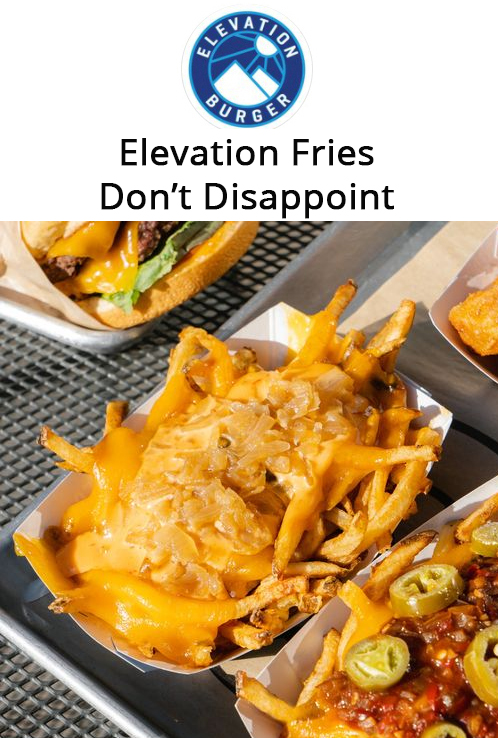 Elevation Fries Don't Disappoint!